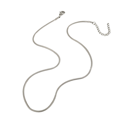Snake Chain Necklace