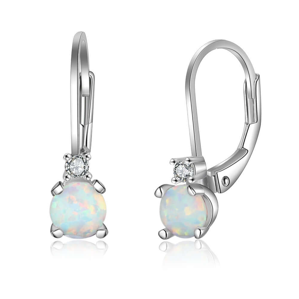 Pair of silver earrings with opal stones on a white background