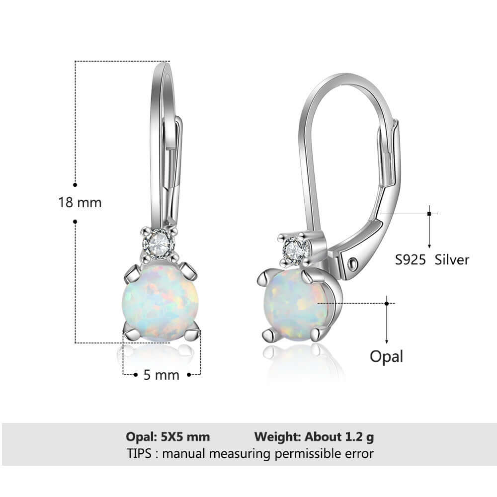 Silver earrings with opal stones and measurements on a white background